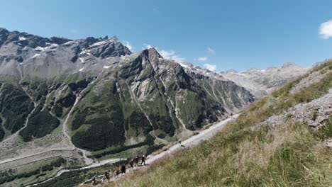 hikers in the alps