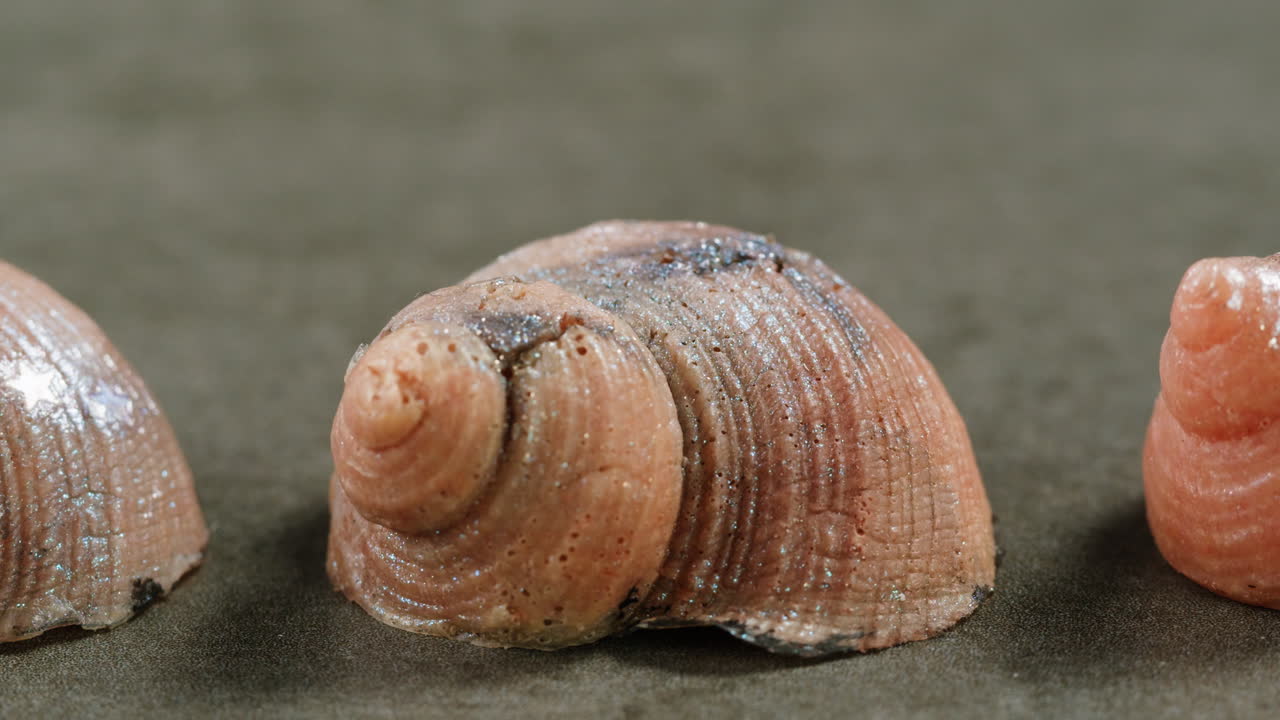 A rubber fake finger with blood close-up. Make-up equipment props for films and shooting. Bloody fake fingers for halloween and parties
