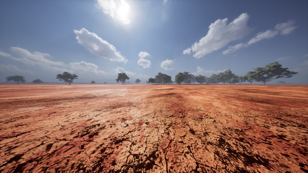 árboles del desierto en las llanuras de áfrica bajo un cielo despejado y un suelo seco