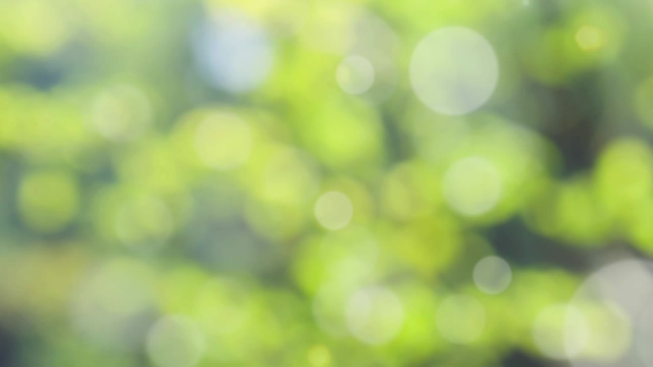 Abstract spring background with bokeh