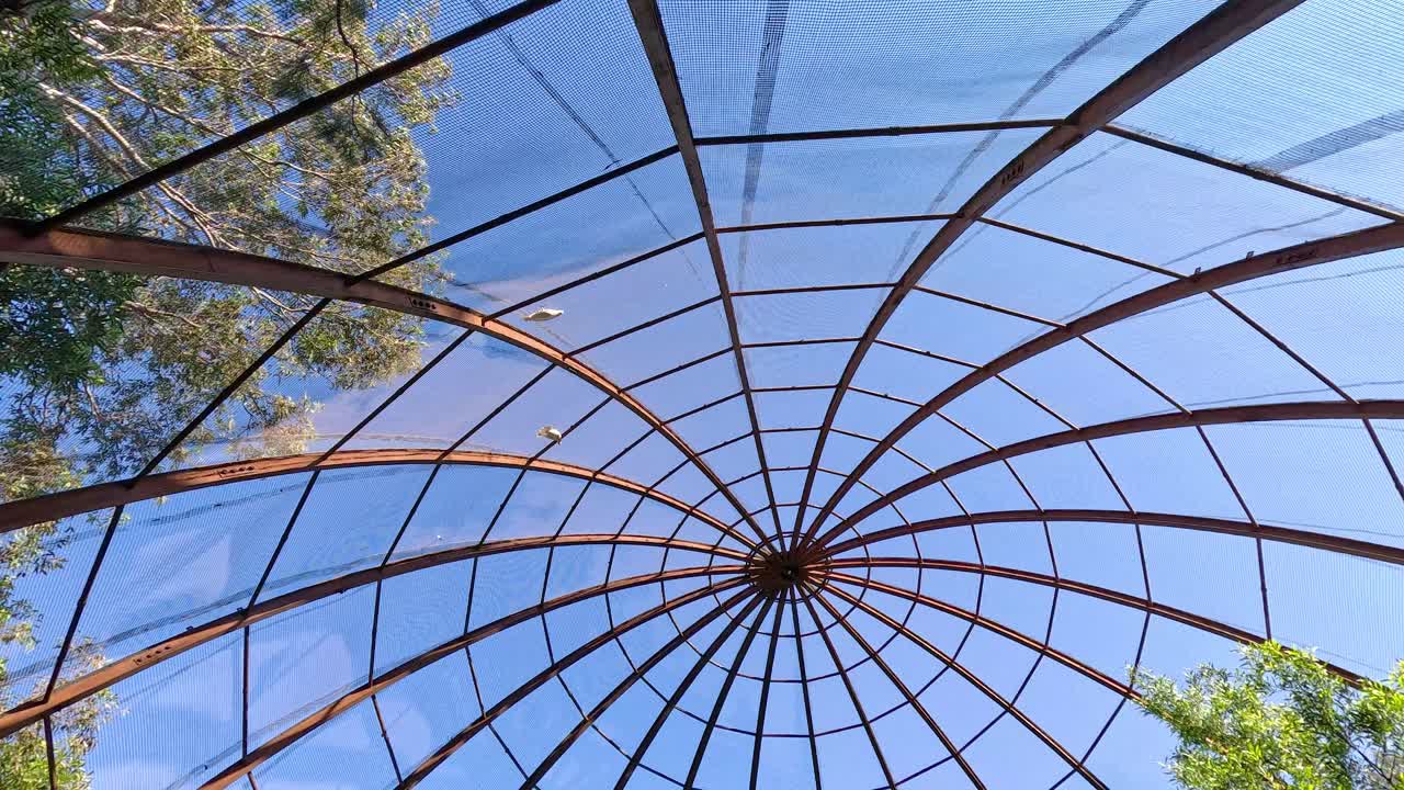 vista giratoria de la estructura de la jaula de pájaros y los árboles