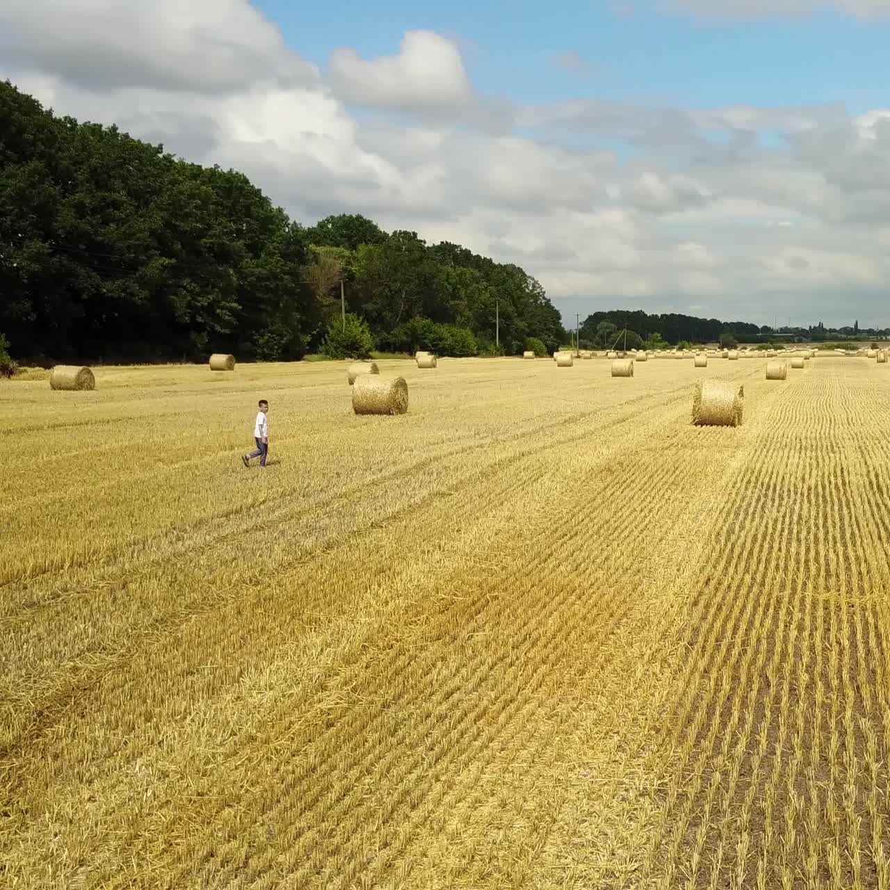 Boy Walking In Field