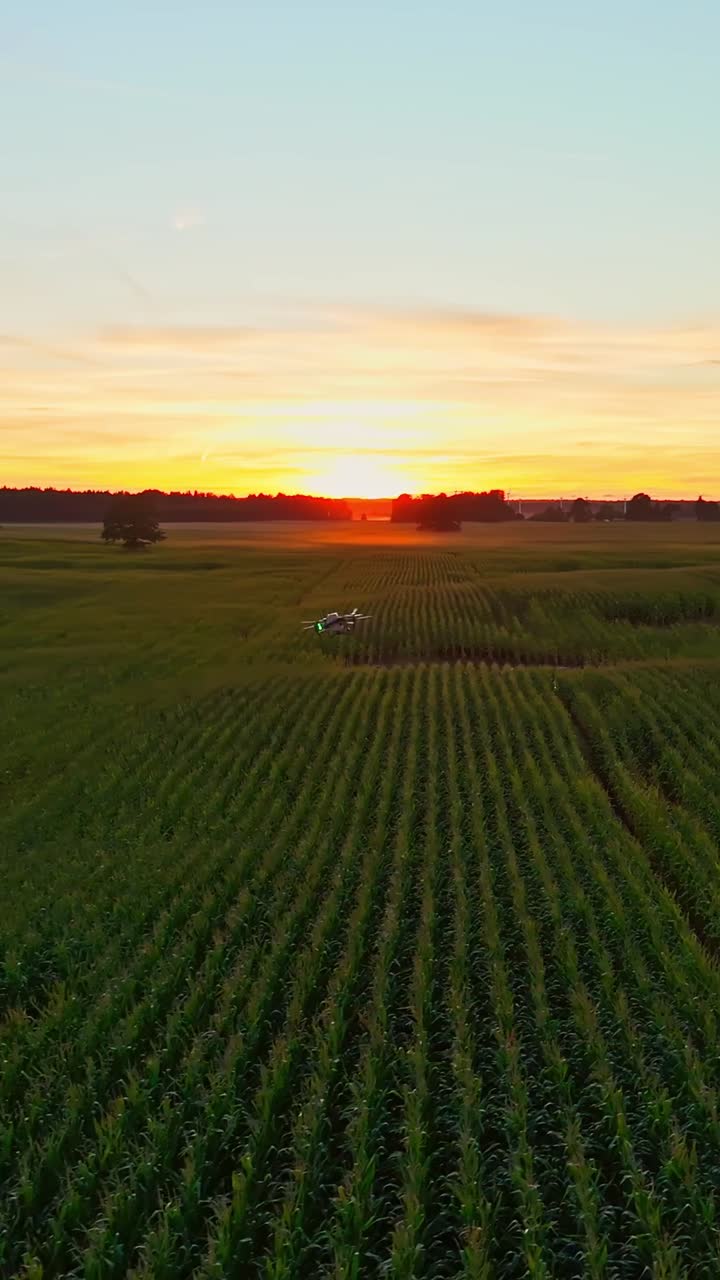 Agricultural drone flying over a green field, the future of smart farming
