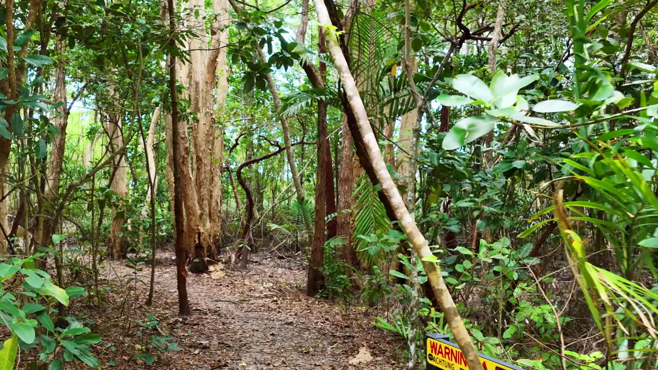 Aerial camera glides through lush rainforest, passing a no camping sign and warning markers, with natural daylight and steady forward movement
