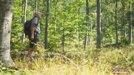 man hiking in the forest