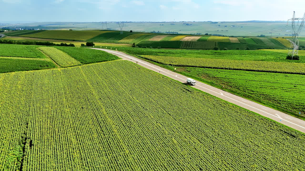 Agricultural landscape with cornfields and country road. Aerial panorama of green cornfields and road stretching through the farmlands in Romania