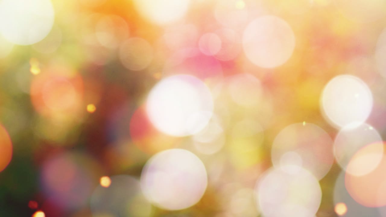 varios fondos de color y movimiento bokeh