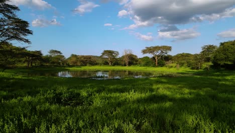 aerial view towards a lush green pond, in the rainforests of kenya, sunny day, in africa - low, dolly, drone shot