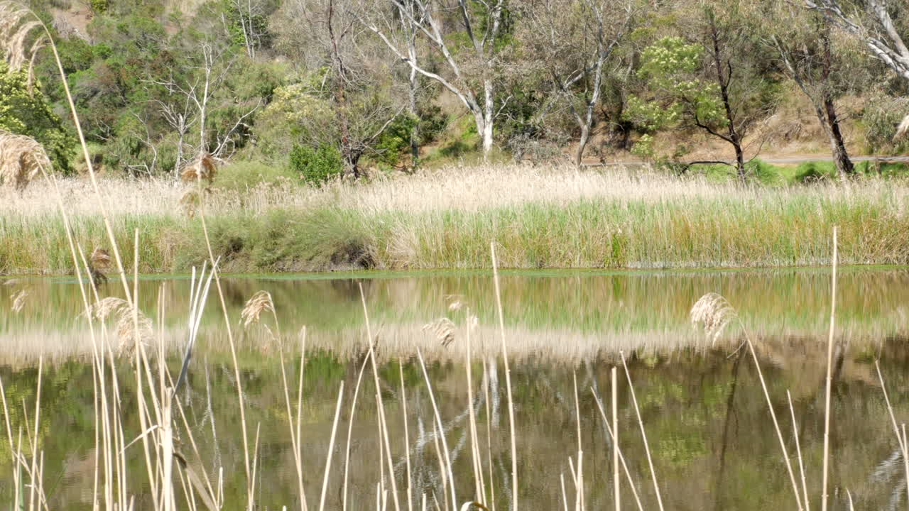 Matala kuvakulma Barwon-joesta, Geelongissa, Australiassa