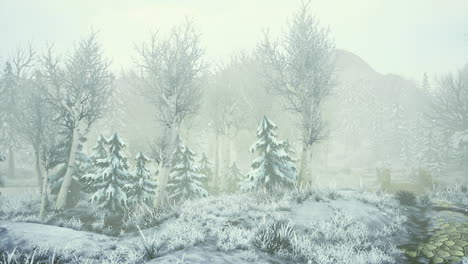 winter wonderland with snow covered trees and foggy landscape at twilight