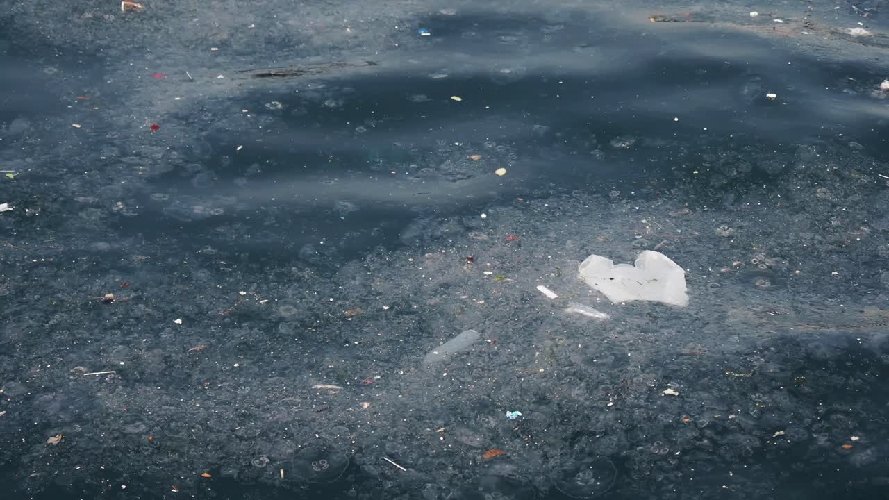 바다의 플라스틱 오염