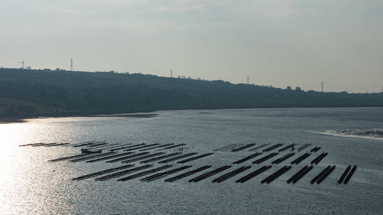 Time-lapse reveals magical maritime dance as sunlight glides across oyster beds, from low to high tide.