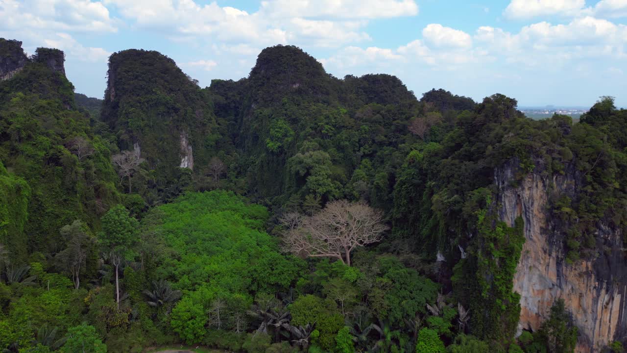 el camino conduce a través de un bosque verde exuberante rodeado de altos acantilados de piedra caliza en un paisaje tropical