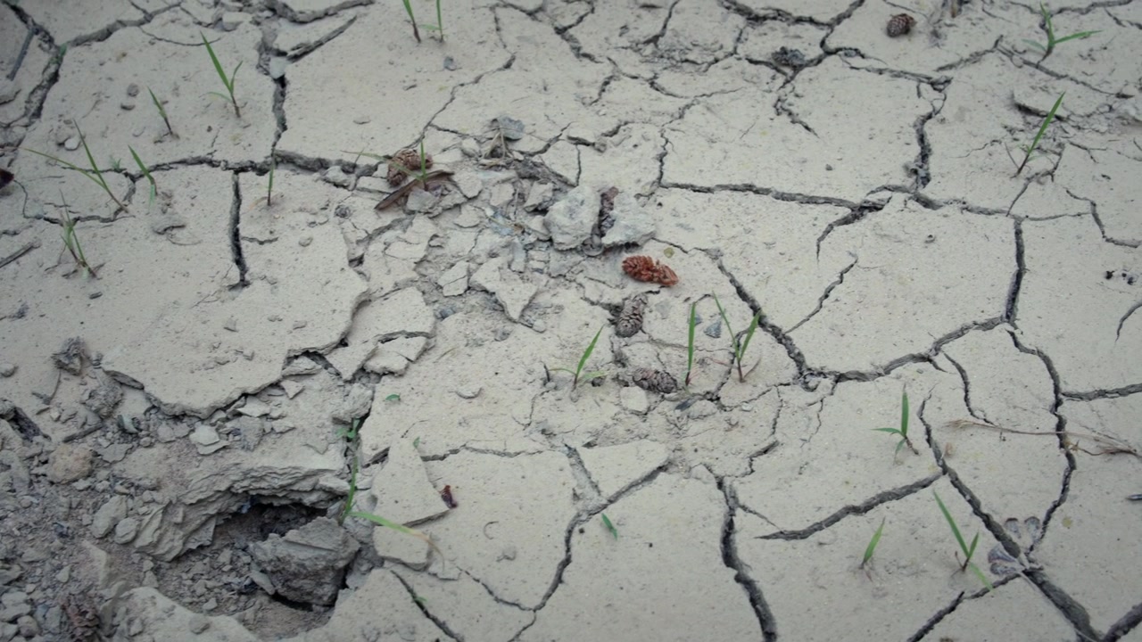 Effetti della deforestazione e del caldo estremo sulla superficie arida della terra