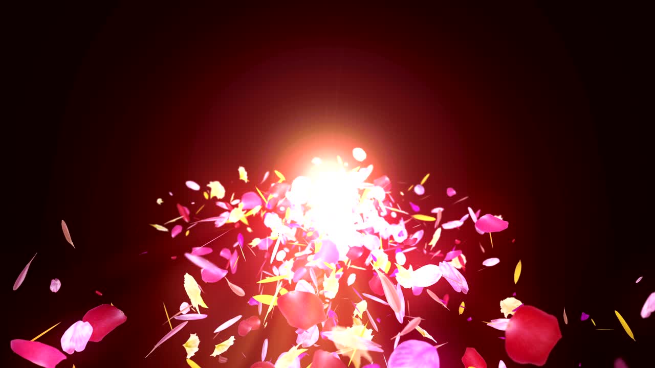 다채로운 꽃잎의 회전, cg 애니메이션, 입자, 루프