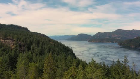 sweeping drone view: from trees to sunlit ocean at campbell river, vancouver island