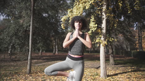 Lebensverändernde-Yoga-Namaste-Meditationspraxis-Im-Herbst