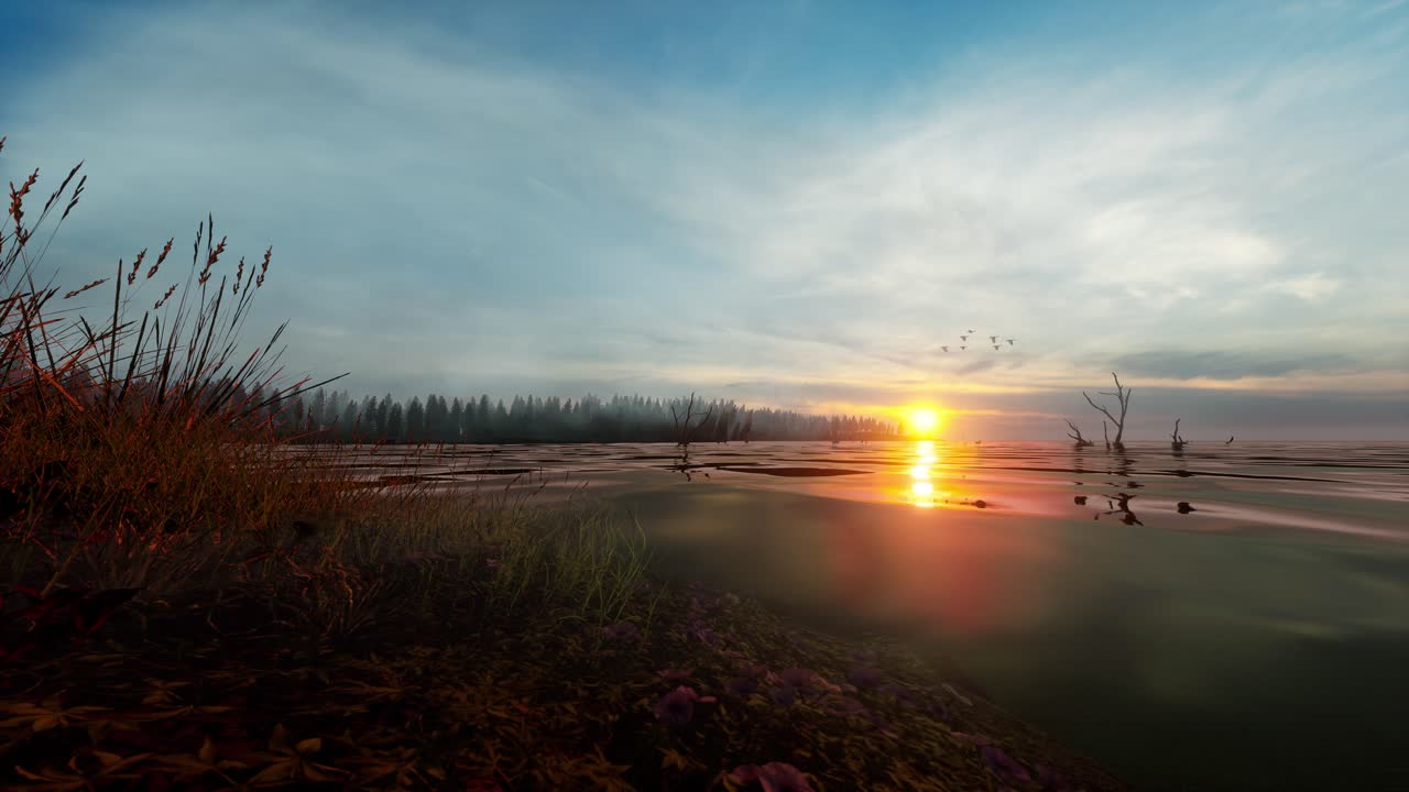Shore Of A Misty Lake At Sunrise In Summer