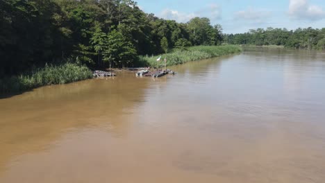 Luftaufnahme-Des-Leeren-Pier-Docks-Am-Kinabatangan-Fluss