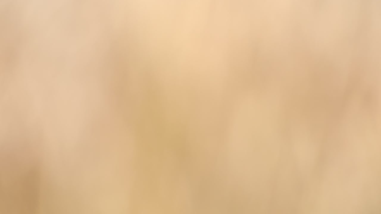 fondo natural de otoño