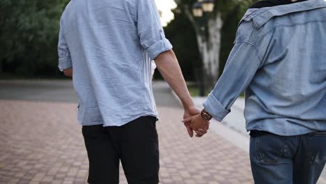 Jóvenes-Románticos-Enamorados,-Hombres-Y-Mujeres-Caminando-Y-Tomados-De-La-Mano-En-El-Parque-De-La-Ciudad