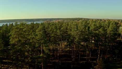 residencia privada, bosque de pinos y lago, vista aérea a baja altitud