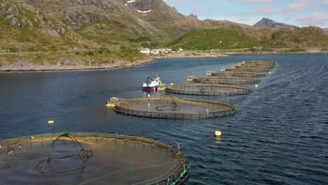 Luftaufnahmen-Von-Lachsfarmen-In-Norwegen