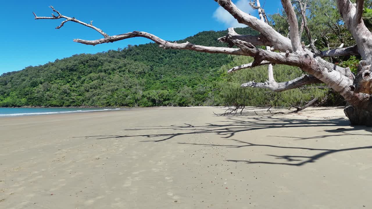 Camera pans right across sunlit beach, mangrove trees, and lush hills under clear blue sky