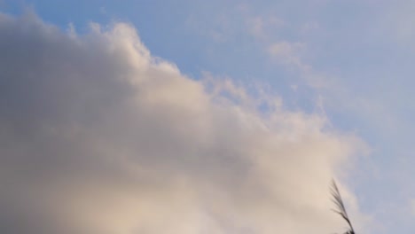 Weiße-Wolken-Am-Blauen-Himmel---Niedriger-Winkel