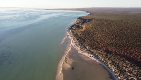 las aguas, islas y penínsulas de shark bay tienen una serie de características naturales excepcionales, incluido uno de los lechos de pastos marinos más grandes del mundo.