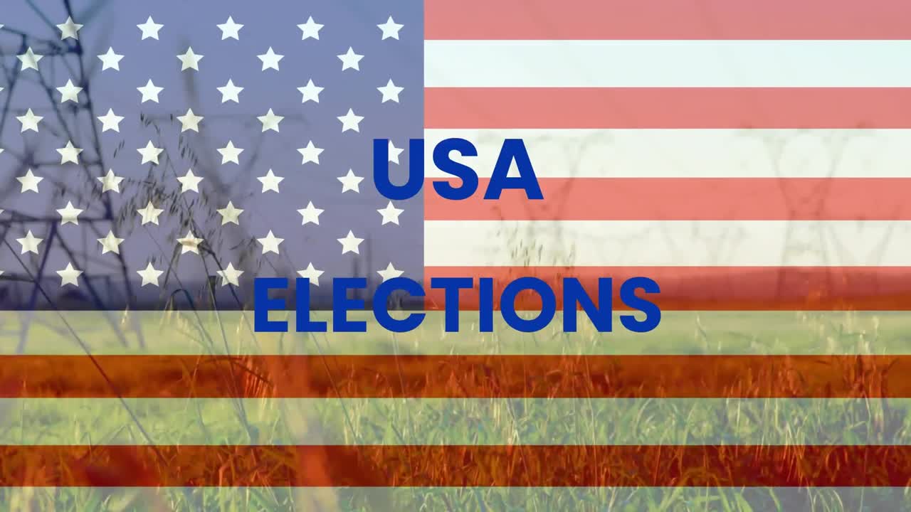 Animation of usa elections text with flag of america over grassy land
