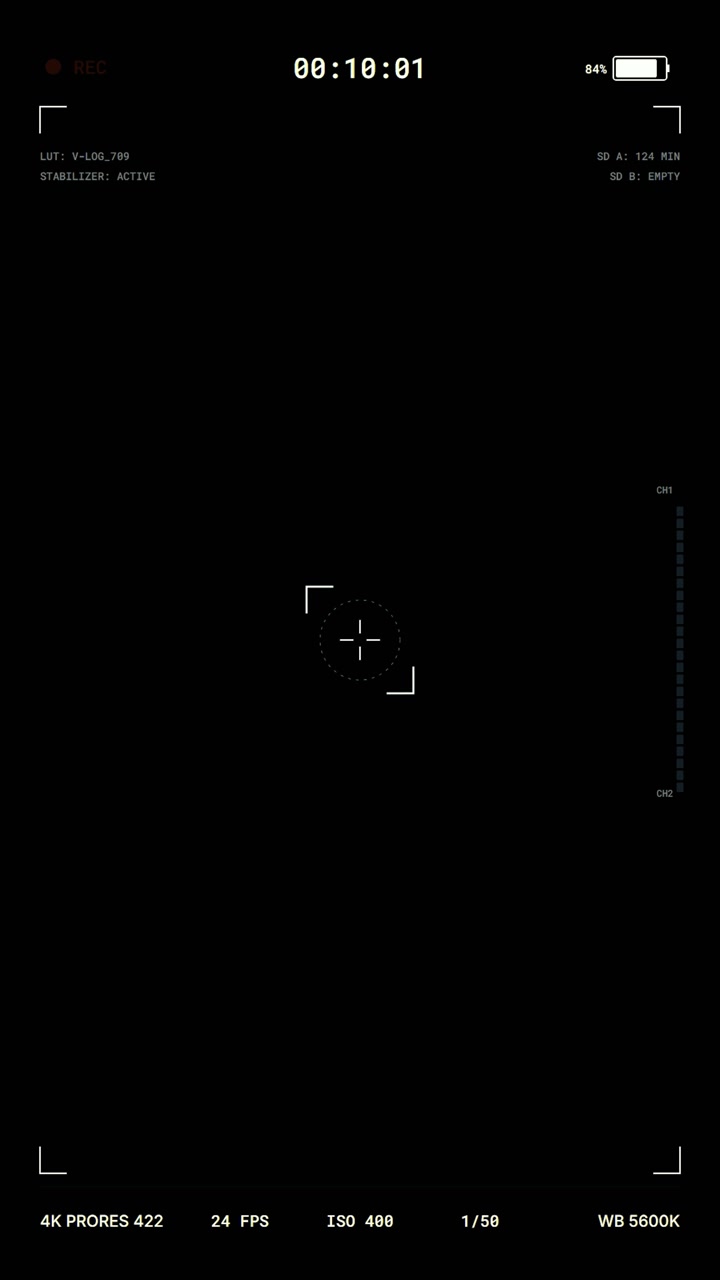 Digital Camera Viewfinder Interface Overlay