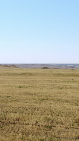 dry plains landscape