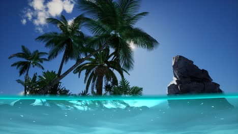 split view cross section of sea water and palm trees on island