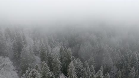 Nubes-Bajas-Y-Niebla-Explorando-Un-Tiro-Sobre-Un-Bosque-Verde-Nevado-En-Las-Montañas-Bucegi,-Rumania