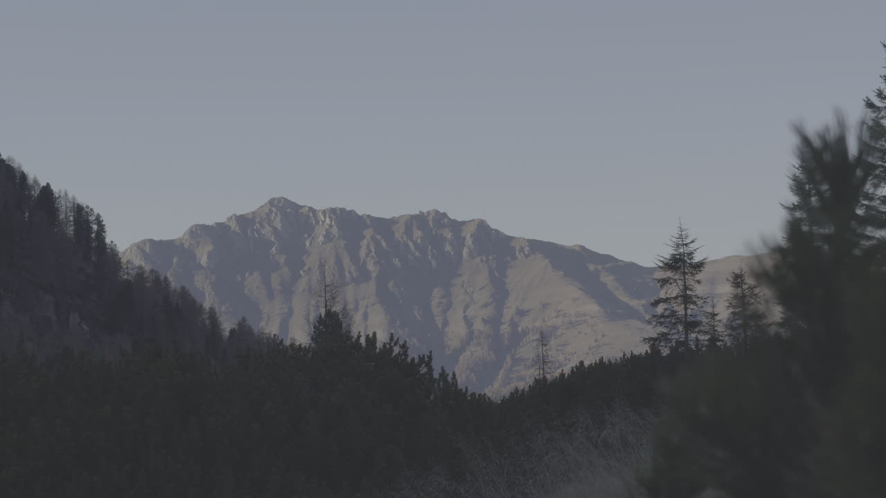 paisaje de montaña con bosque