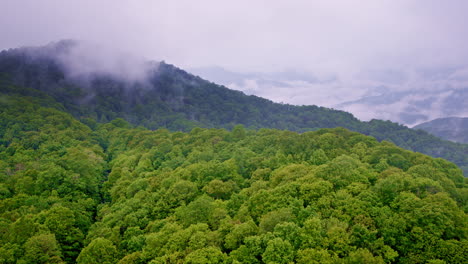 aerial film of mist and magic in the great smokies
