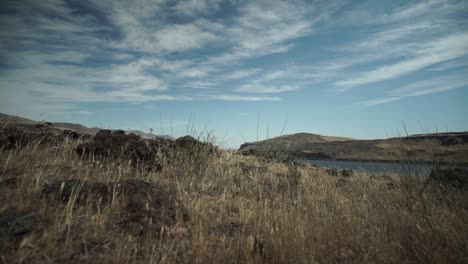 una excursionista madura sale por encima del desfiladero del río columbia y contempla el hermoso paisaje