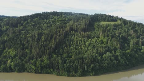 Pull-away-shot-of-a-low-elevation-forest-in-summer-season-with-a-dirty-brown-looking-lake-in-the-foreground