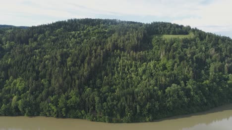 pull-away-shot of a low elevation forest in summer season with a dirty brown looking lake in the foreground