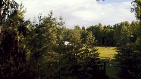 Drohne-Fliegt-Durch-Dunklen-Wald,-Um-Zelt-Und-Gebäude-Zu-Enthüllen