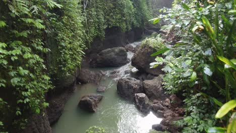 aerial: water flowing from suwat waterfall running through a mud rocky canyon forming a stream river in creek covered with lush green moss and jungle plants