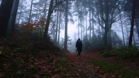 man with a backpack travels in dark clothes on a wet foggy morning in the forest