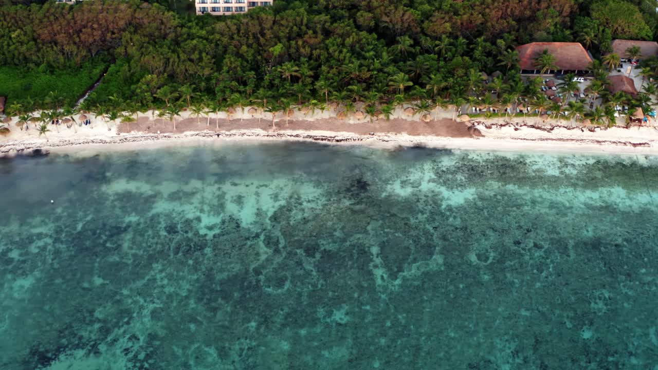 vista aérea derecha de un dron de una hermosa playa tropical de vacaciones con agua azul cristalina, arena blanca, palmeras, tumbonas en un resort en riviera maya, méxico cerca de cancún