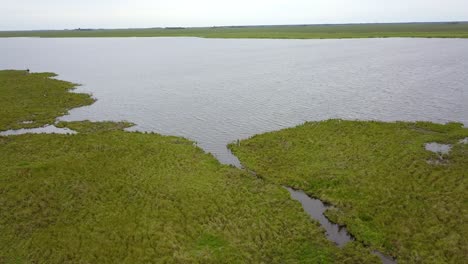 wetlands of northeast argentina shooted with drone