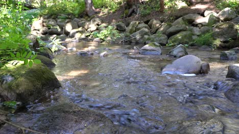 El-Flujo-Continuo-De-Agua-En-Un-Pequeño-Río-Magnífico