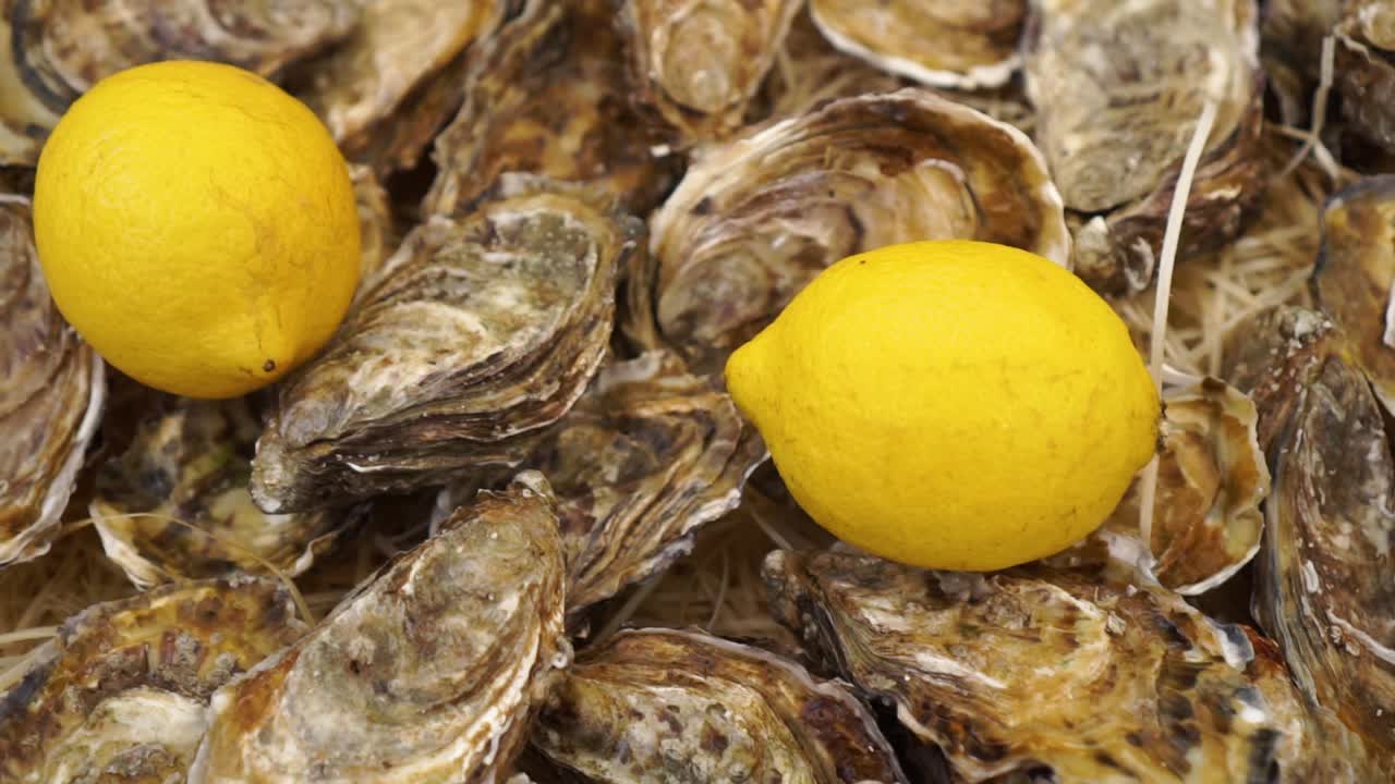 ostras frescas y limón en la mesa en el festival de comida - cerrar