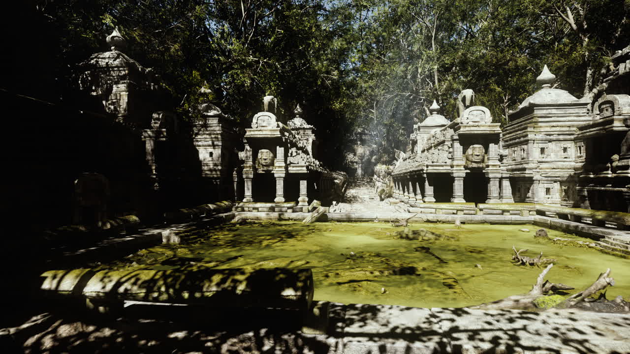 Fotografo cattura riflessi scintillanti sulla superficie di uno stagno templare frondoso