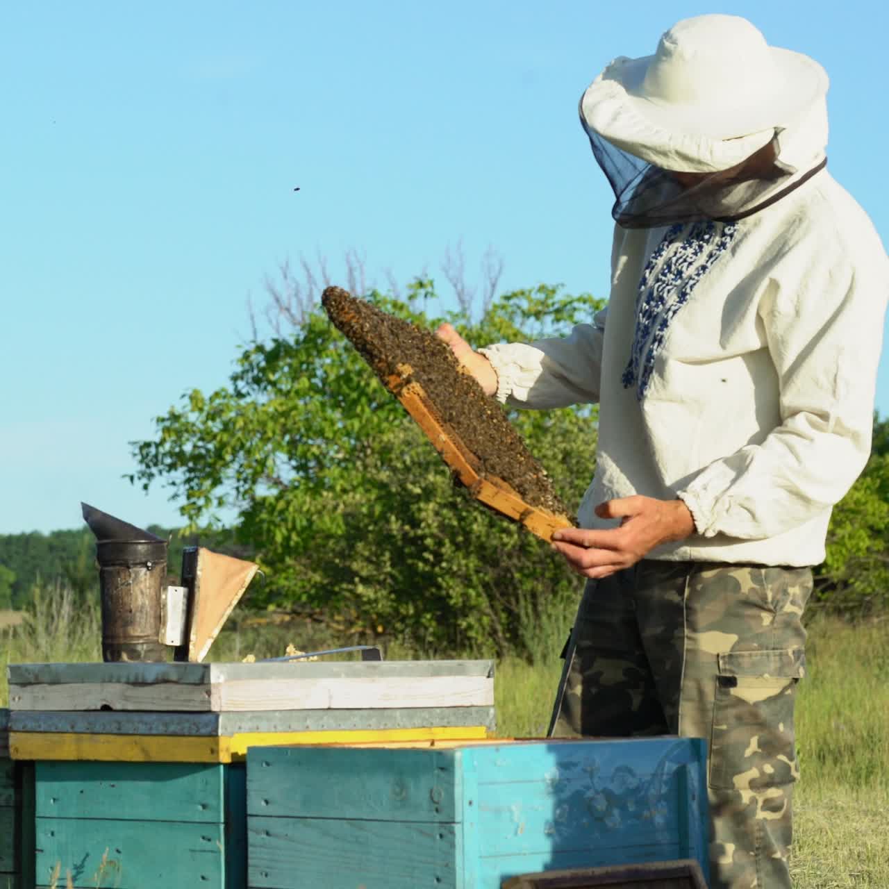 Beekeeper is working with bees and beehives on the apiary. Frames of a bee hive. Apiary concept