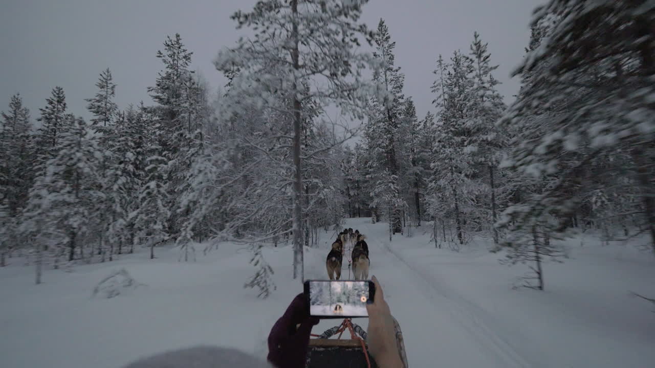 mujer con celda haciendo video de viaje en trineo de perros en el bosque de invierno